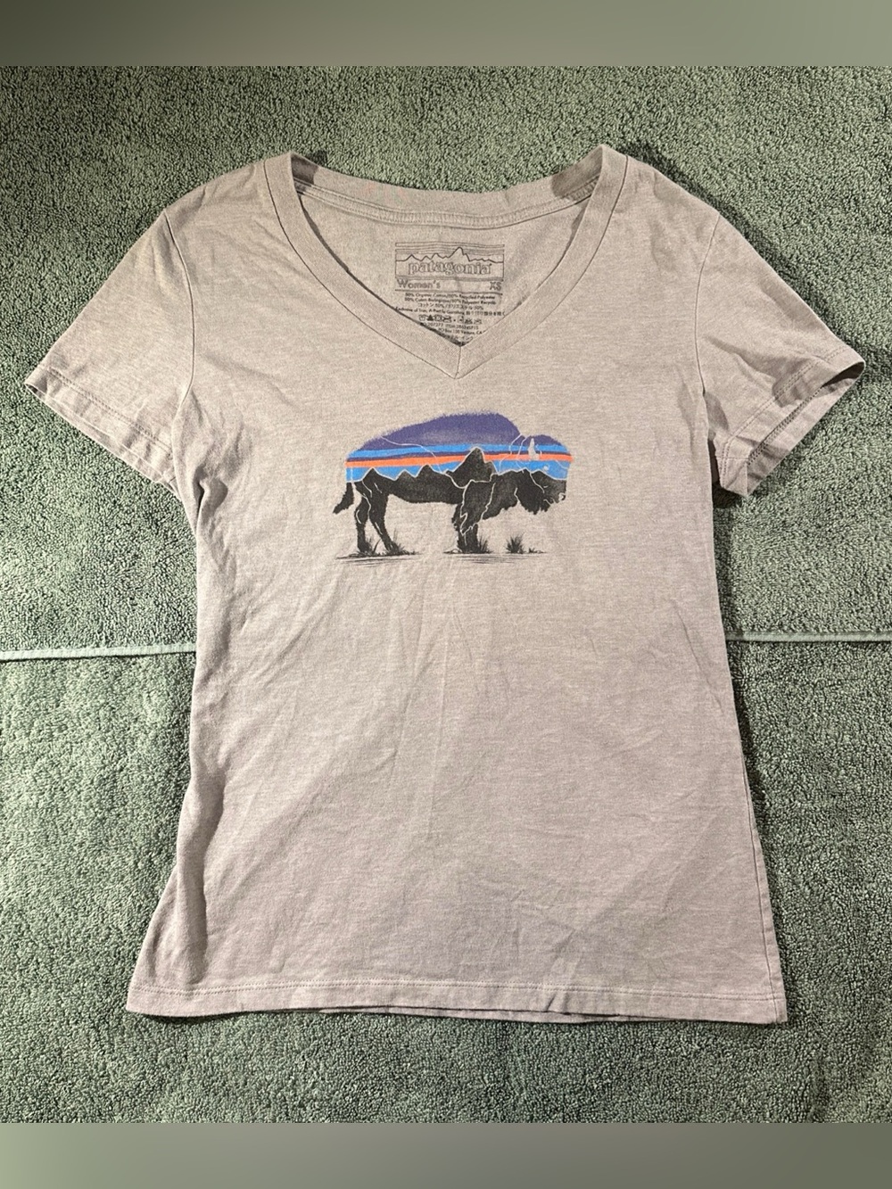 Patagonia Women's V-Neck Tee - Light Taupe with Purple & Blue Buffalo